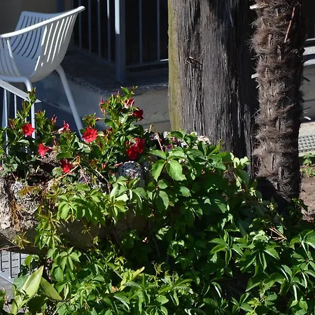 Casa vacanze Leonardo House 2